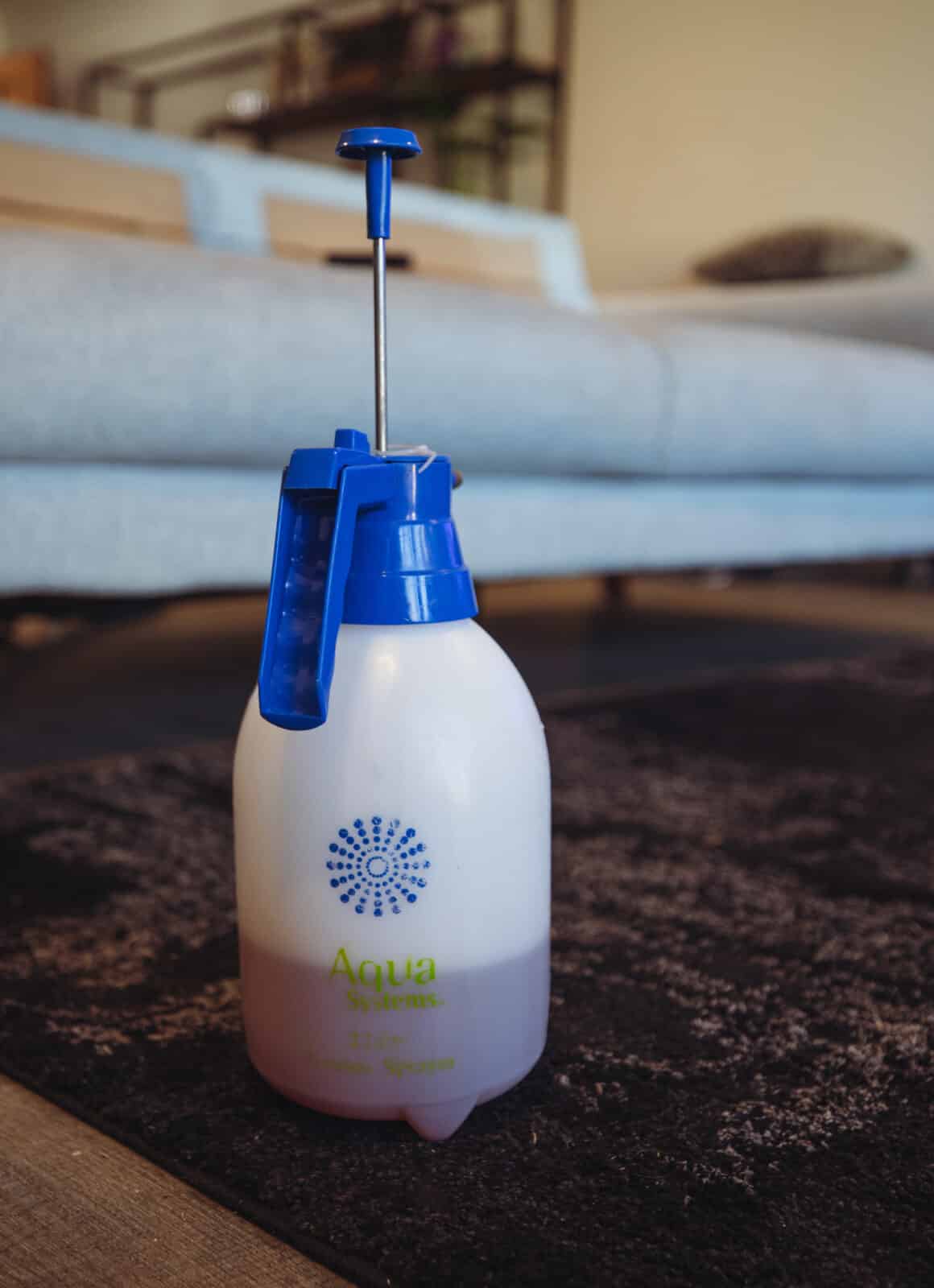 Rug Cleaning Clean It Perth